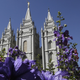 Illustration for article titled Mormon Church Announces Itll Back VERY Specific LGBT Protections